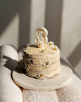 Birthday daisy