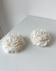 Millies - Peony klein